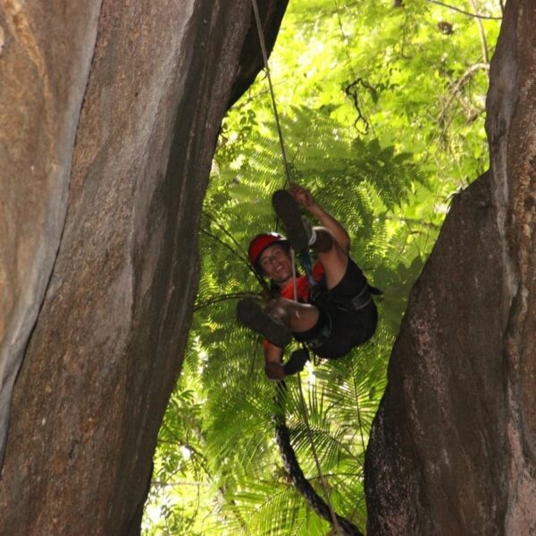 Tijuca Forest Forest in Rio de Janeiro