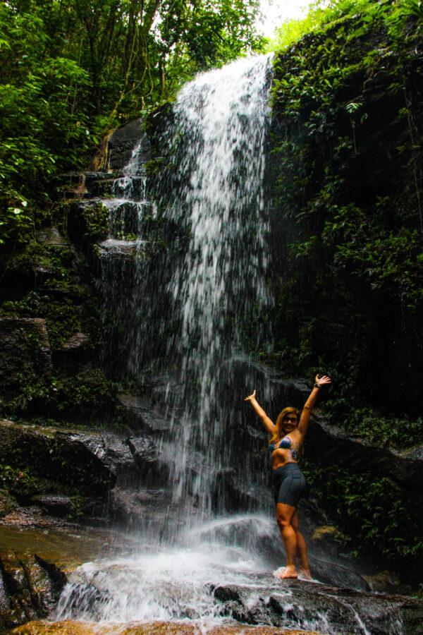 Tijuca Forest Forest in Rio de Janeiro