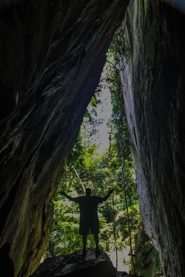 Tijuca Forest Forest in Rio de Janeiro