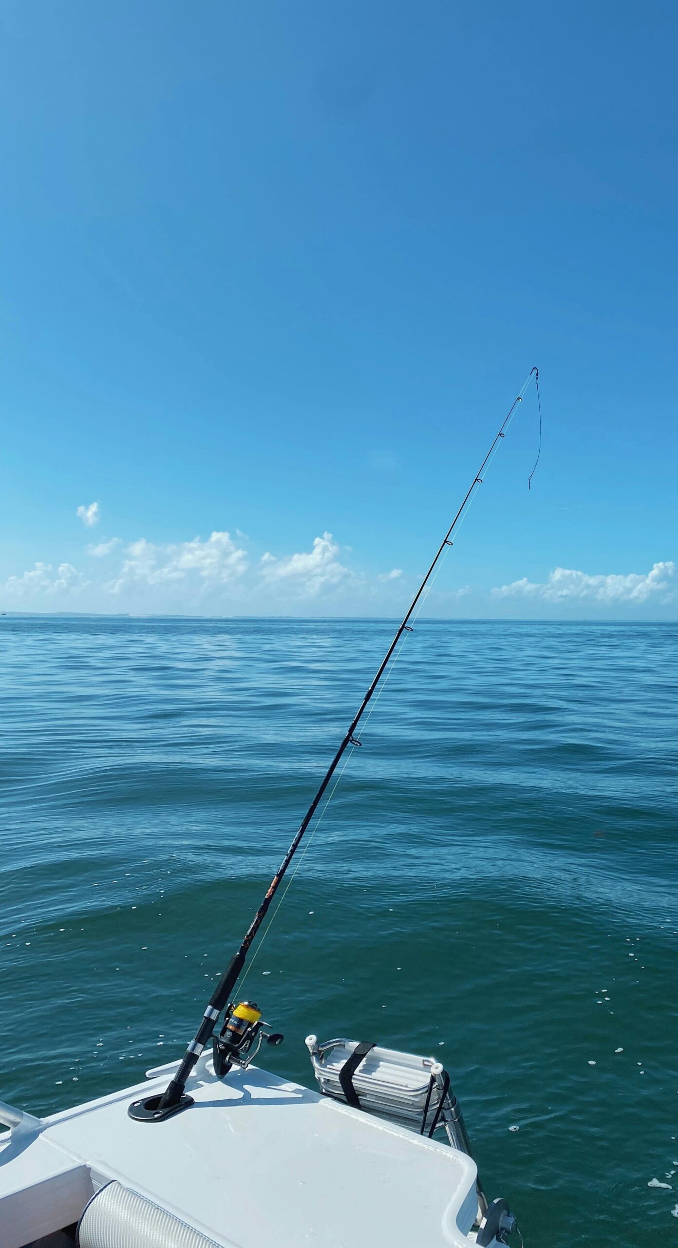 Fishing charters near me Deep sea fishing charters Private fishing charter Fishing trips Fishing guide.